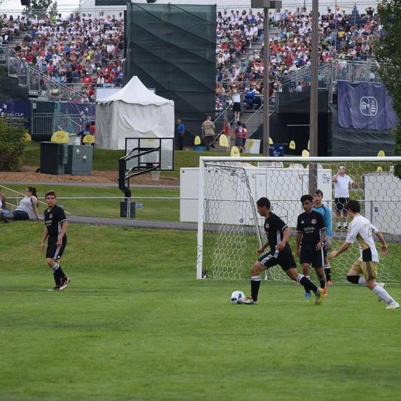 Meet your Posher, Armando - Picture 1 of 1